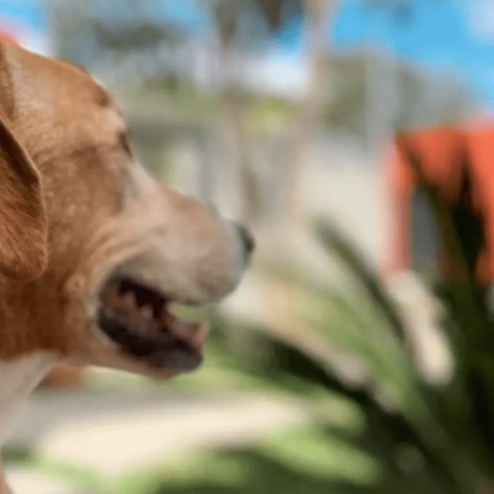 small-ville-casa-beatles-15